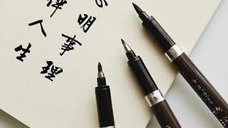 ⁣Japanese Calligraphy Pens