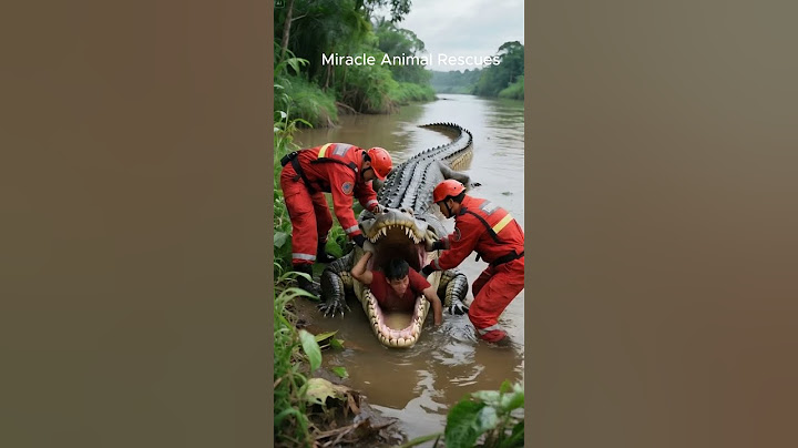 Rescuing a man from the jaws of a crocodile