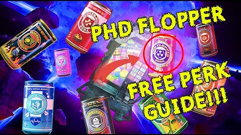 PHD Flopper Free Perk Easter Egg Guide! MWZombies!