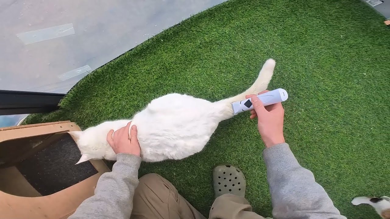 친해질 만큼 친해졌으니 밀어보자