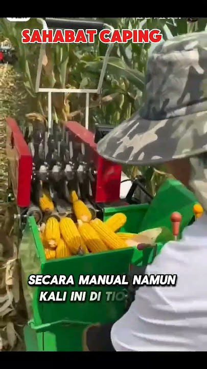 Alat panen jagung modern #garden #pertanian #panenjagung #petanijagung #shortvideo #shorts