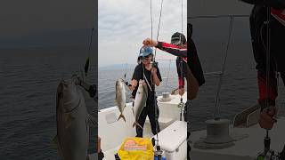 You Should Try Charter Fishing in Japan! Catch and Eat! Kagoshima Bay #japanfishing