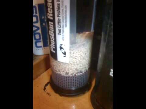 tlf reactor bio pellet