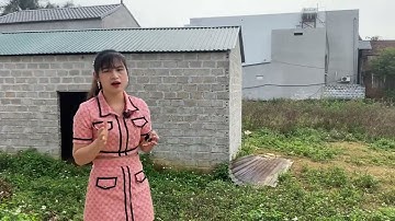 Bán 1006m2 Tuyến 2 DH09 Hòa Thạch Quốc Oai – Bán đất nền Hòa Lạc – TuanLinhBDS