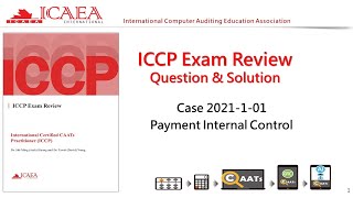 Case -2021-1-01-Payment Internal Control_ACL