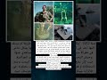 كيف كانت فرنسا تعذب الشهداء الجزائريين الجزائر المغرب معلومات عامة ثقافة 