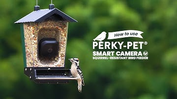 How to Use the Perky-Pet Smart Camera Solar Squirrel-Resistant Bird Feeder