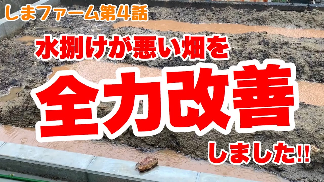 【家庭菜園】水捌けを良くするために暗渠(あんきょ)を作る‼︎【しまファーム第4話】