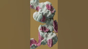 Particle Flow Experiment