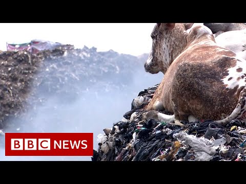 Fast fashion: The dumping ground for unwanted clothes - BBC News