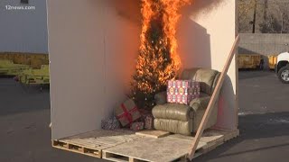 How to prevent your Christmas tree from catching fire