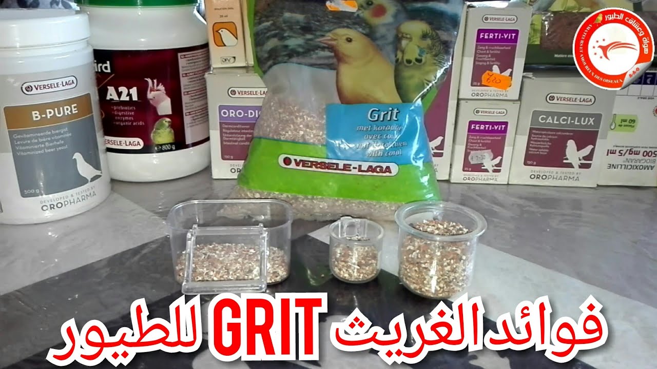 فوائد الغريث ( الحصى ) Grit للطيور. الباذجي، الحسون، الكناري