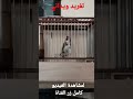 تغريد ويداني لطائر الحسون لتعليم الفراخ