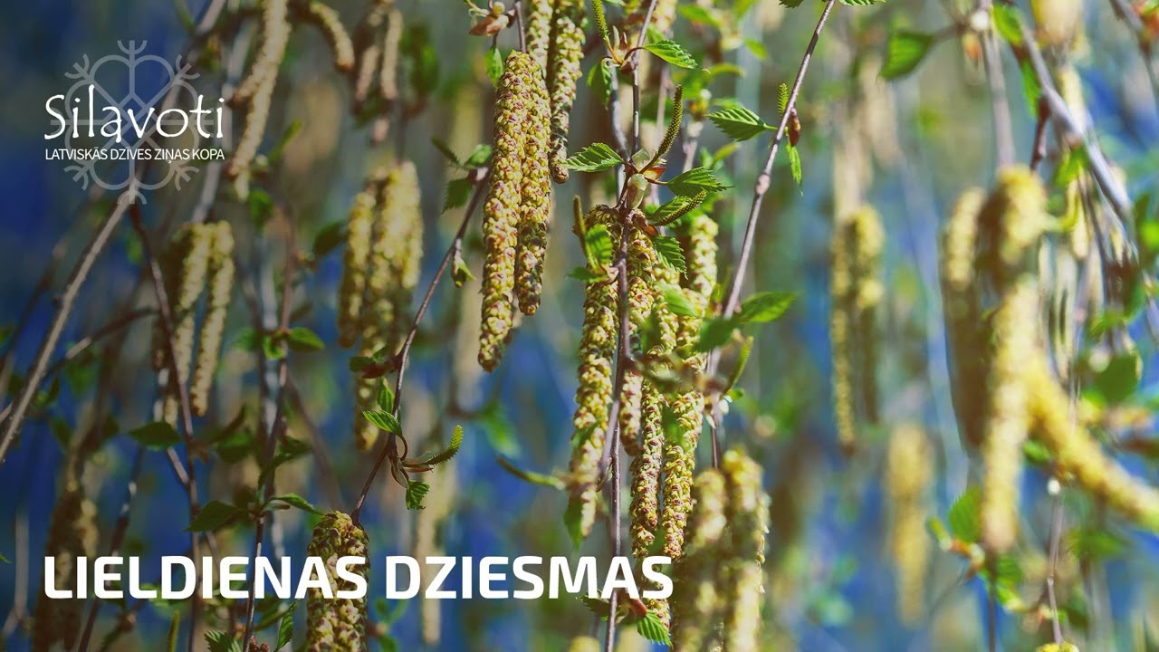 8. EJ, LAIMIŅA, KUR IEDAMA