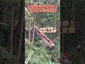杉林溪遊園巴士墜谷意外