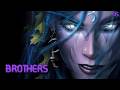 Warcraft III – All Secrets | Brothers in Blood (Hard) | Night Elf Campaign M5
