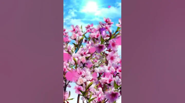 Spring pink magnolia butterfly - DayDayNews