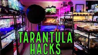 Top 10 TIPS For Tarantula Keepers! STOP Wasting Your Money!