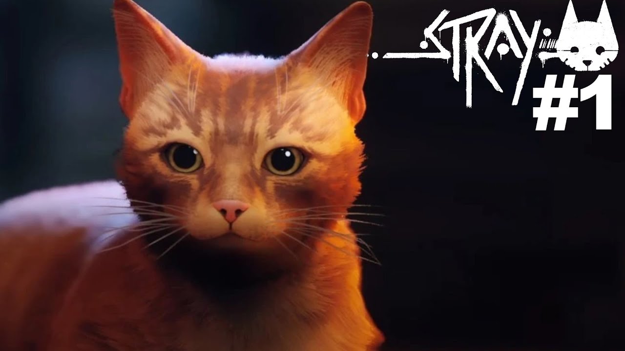 ＜BB.Kong＞STRAY CATS UNRELEASED DEMO Play