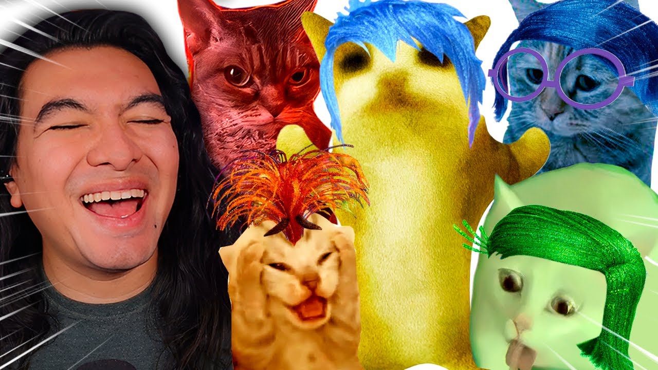 INTENSAMENTE PERO CON MEMES DE GATOS DASITO REACCIONA