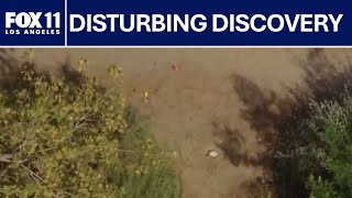 Famous Skull found during Easter egg hunt in Long Beach | FOX 11 LA Net Worth