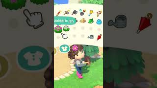Day 169 • #acnh #animalcrossing #animalcrossingnewhorizons #cozygames #nintendo #nintendoswitch