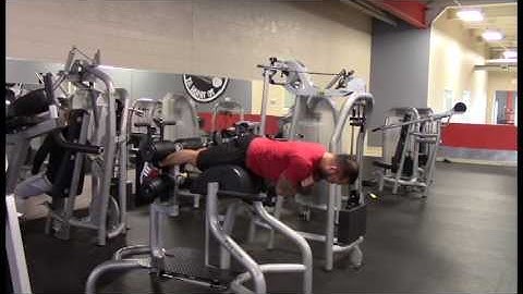 Horizontal Back Extension - Static Hold