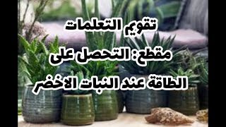 تقويم التعلمات مقطع التحصل على الطاقة عند النبات الأخضر صفحة 86 علوم طبيعية سنة أولى متوسط