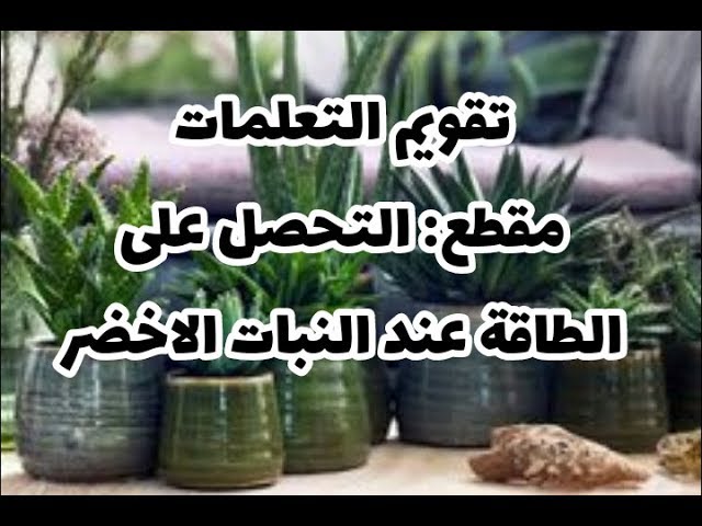 تقويم التعلمات مقطع التحصل على الطاقة عند النبات الأخضر صفحة 86 علوم طبيعية سنة أولى متوسط