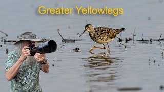 Breathtaking Sunsets, Olympus OM-1, video of Greater Yellowlegs a few days in Southampton in our van