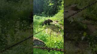 20180702 171425