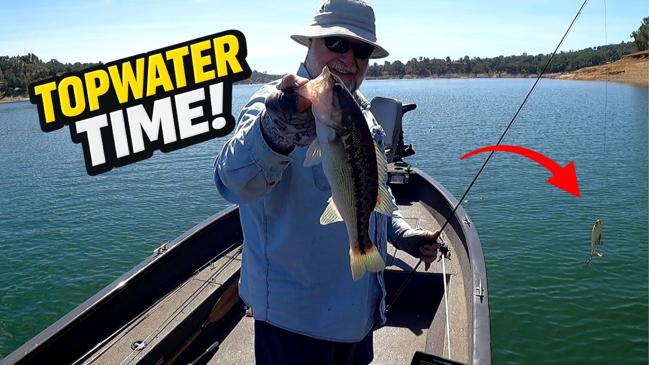 Nothing Beats Early Summer Topwater Bass Fishing