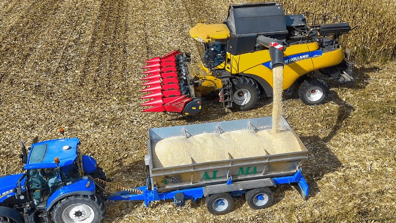 Урожай кукурузы 2025 года в Италии. New Holland CR Capello Diamond