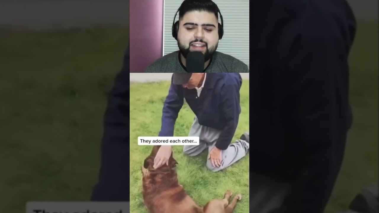 WE DONT DESERVE DOGS 