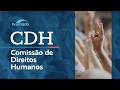 CDH analisa proteção à infância, PCDs e vítimas de violência – 27/05/26