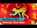 Horóscopo Chino: Mono | Muy buenos días | Buenos días a todos