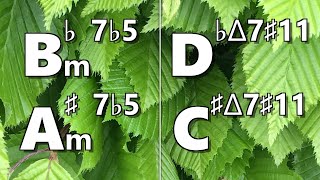 Bbm7b5 (A#m7b5) to Dbmaj7#11 (C#maj7#11) Backing Track