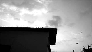 Down - Endless blue