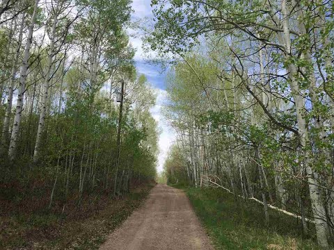 67846 Shady Lane, Collbran, CO home video tour