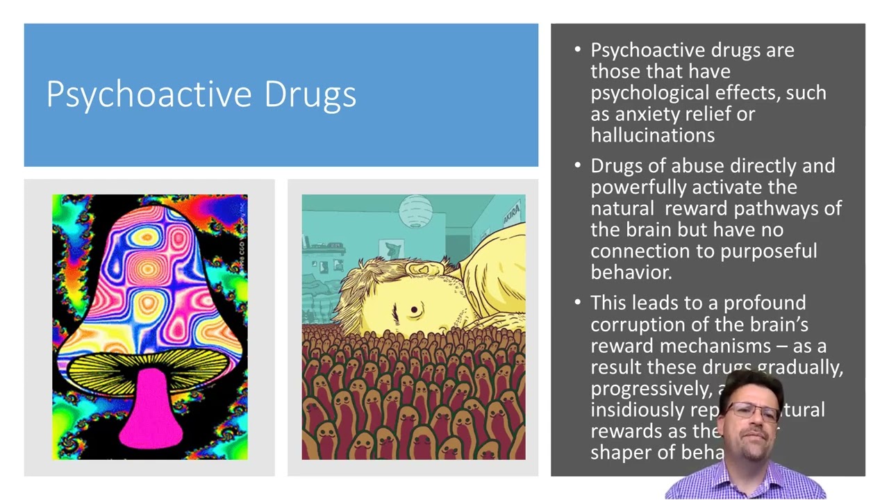 Drugs, Addiction & Reward