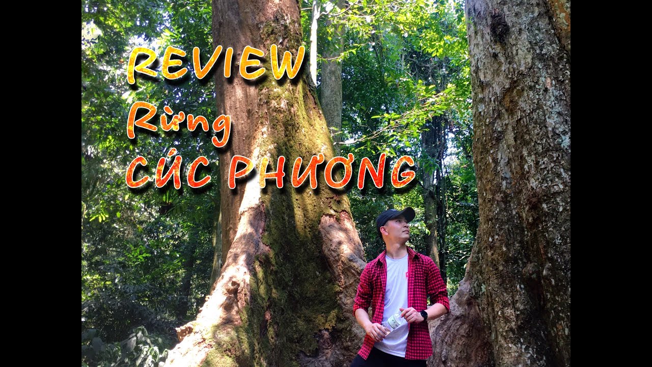 giá vé vào rừng cúc phương New Update Review Rừng Cúc Phương #1 |Sóc Travel