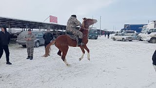 ҰЗЫНАҒАШ МАЛ БАЗАРЫ ЖЫЛҚЫ БАГАЛАРЫ