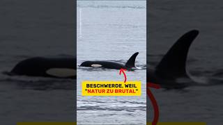 DER BEWEIS, dass wir uns mehr damit beschäftigen müssen! | RasasWelt | #shorts