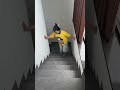 Run! A Giant Python Broke Into The House 😱🐍 #shorts #viral #horror