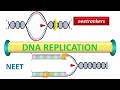 DNA REPLICATION with animation || COMPLETE DNA REPLICATION FOR NEET EXAM