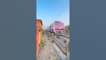 Cutiest Pinky Medha Emu Skip Railgate #Shorts #viralshorts #easternlifelines