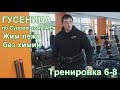 ГУСЕНИЦА по Суровецкому А.Е. Видео: 3 "Эксперимент"