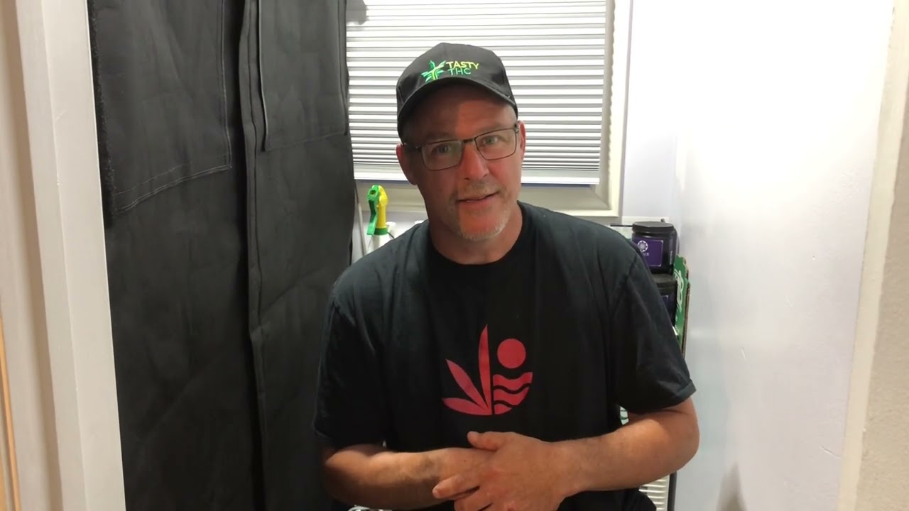 Kyles SkyWalker OG Day 51 