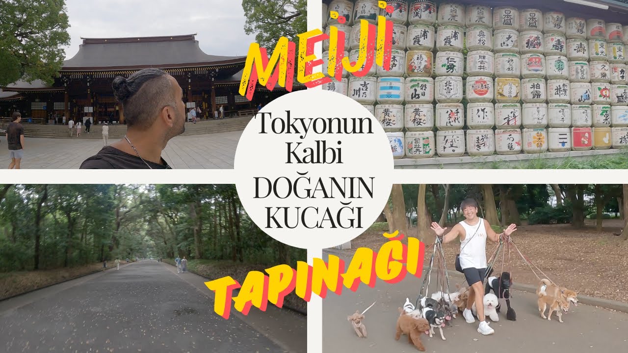 MEİJİ TAPINAĞI | Şehrin Kalbinde Doğa İle İç İçe | Japonya Tokyo Vlog 🇯🇵 #125