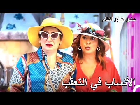 مهمة تحقيق الأنساب المليئة بالأحداث عشق منطق انتقام